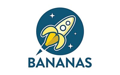 New Moms Support Group (3-Part Series)