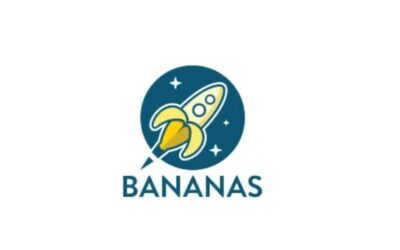Curso PITC: Crecimiento socioemocional y socialización de bebés y niños