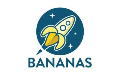 New Moms Support Group (3-Part Series)