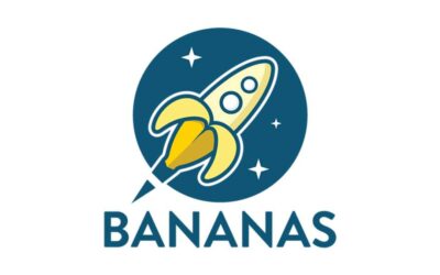 BIPOC Support Group for Parents with Babies